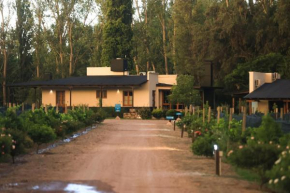 Algodon Wine Estates & Champions Club